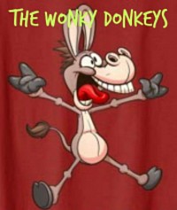 The Wonky Donkeys