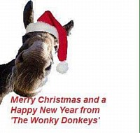 Xmas Donkey