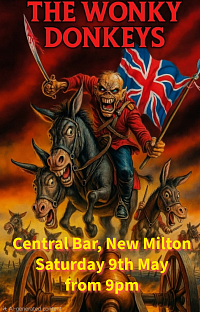 The Wonky Donkeys