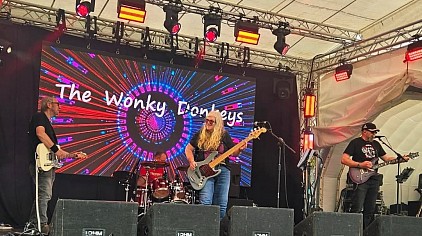 The Wonky Donkeys